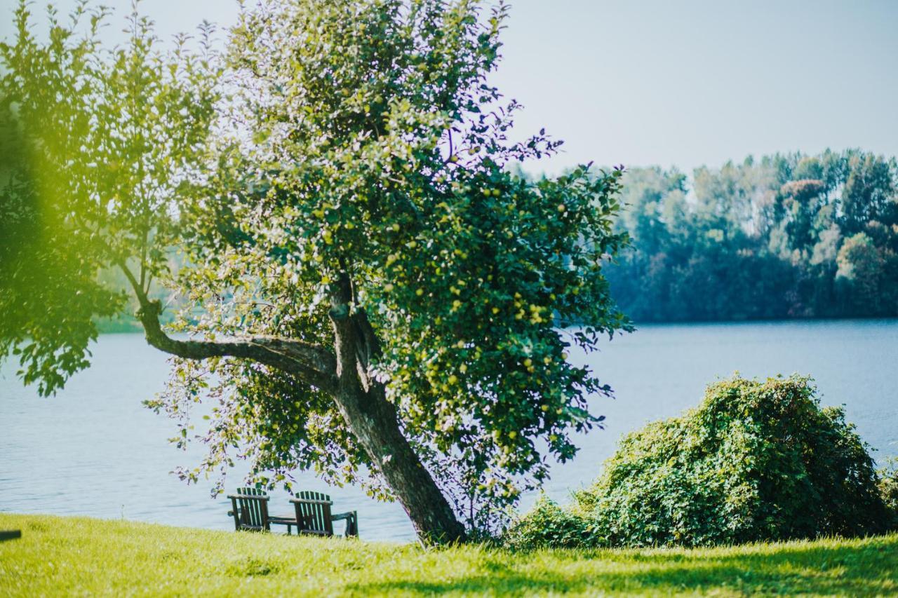 Kempings Kalnavoti Koknese Bagian luar foto